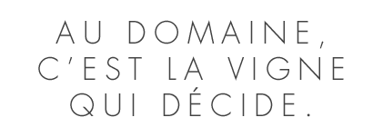 Domaine de Grandpré vignes